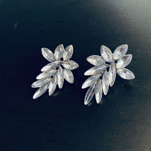 Sparkling Crystal Earrings  - Picture 1 of 3